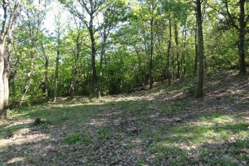 出售 - 空地 - 5000 m2 - Saint Paul la Coste - Photo 