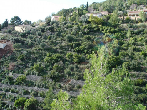 Sale - Site - 6250 m2 - Toulon - Photo 