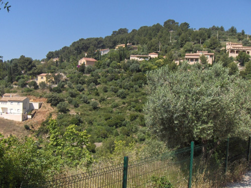 Sale - Site - 6250 m2 - Toulon - Photo 