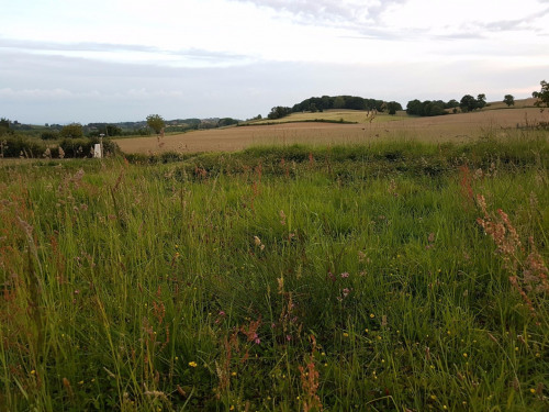 Verkauf - Grundstück - 2444 m2 - Labastide Villefranche - Photo 