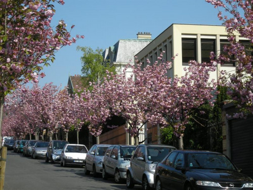 Vermietung - Büro - 18 m2 - Saint Cloud - Photo 