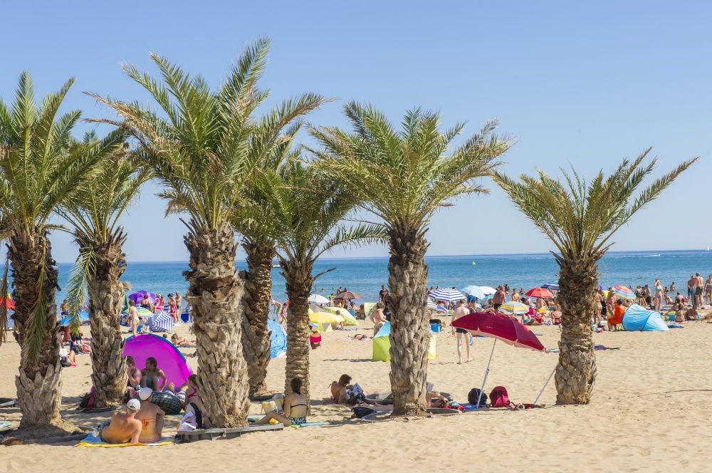 Falaise Narbonne Plage