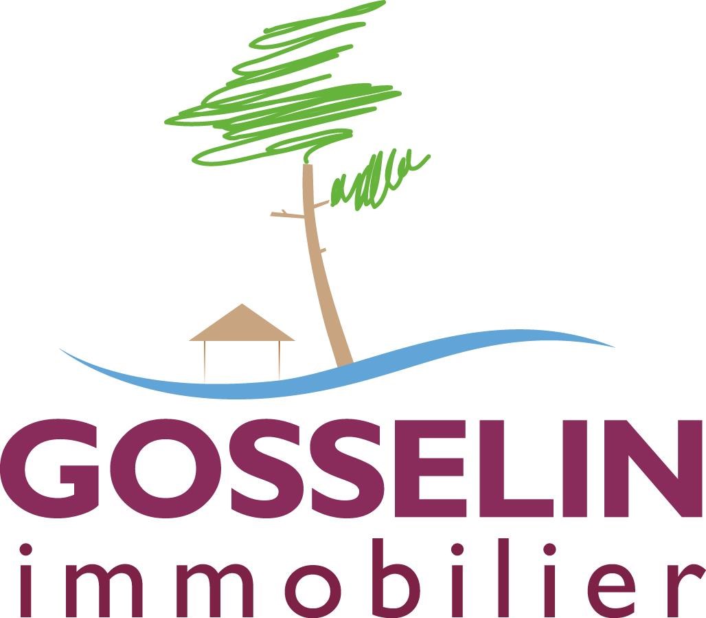 gosselin immobilier - gosselin immobilier biscarrosse