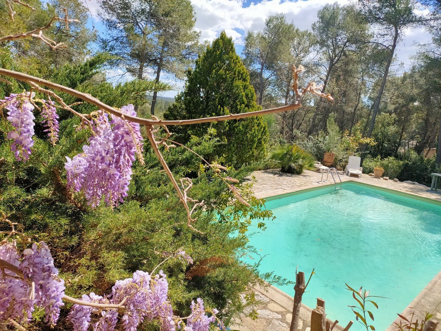 Maison de luxe à vendre à Assas