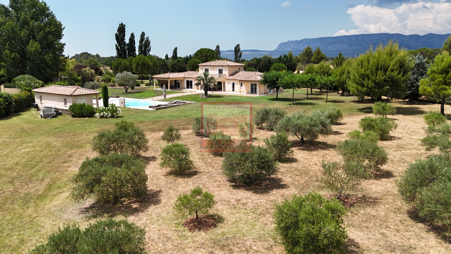 Luxury villa for sale in Trets