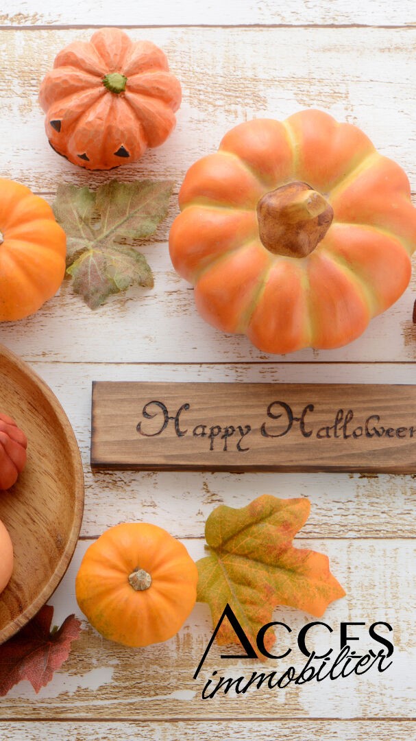 Appartement 3 pièces 56 m²