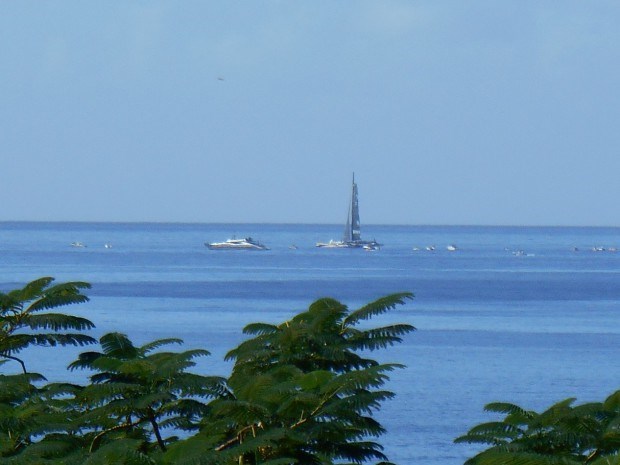 vue de la terrasse route du Rhum