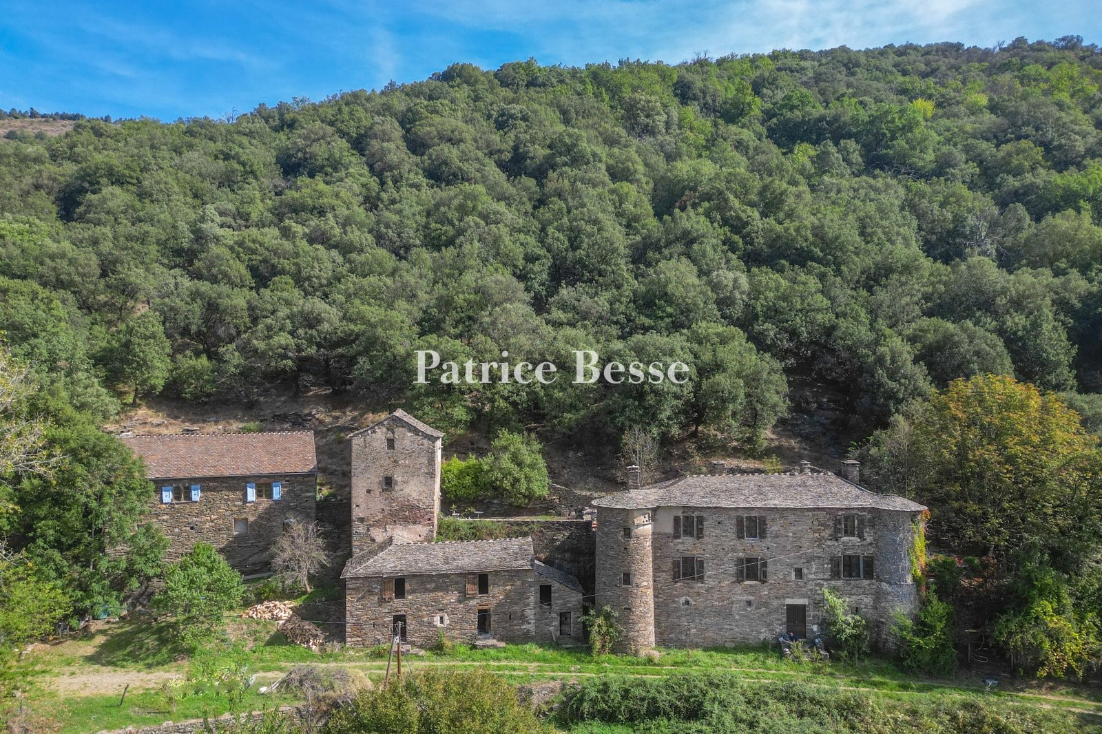 Castle for sale in Barre-des-Cévennes