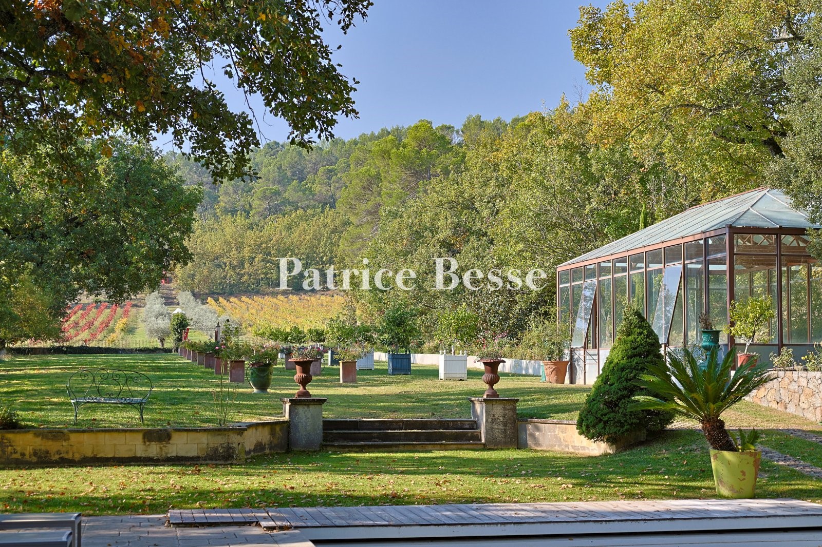 Proprietà Viticola in vendita Saint-Maximin-la-Sainte-Baume