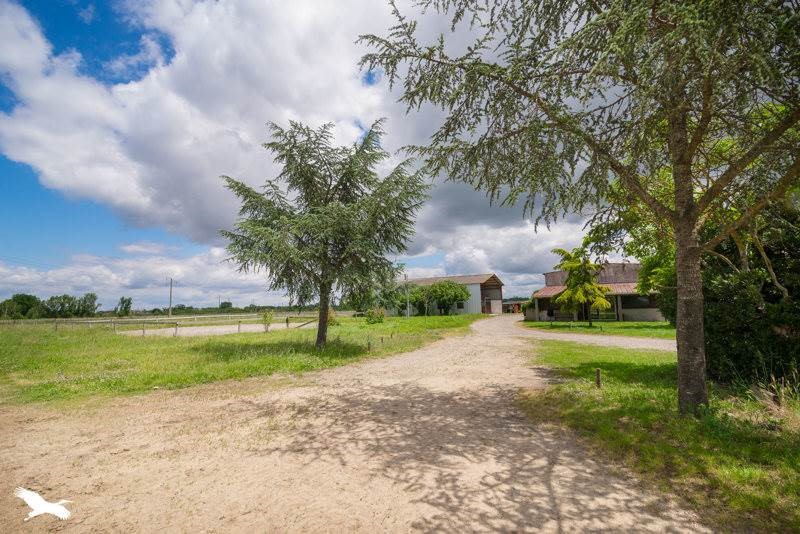 Luxury house for sale in the district Castelnouvel
