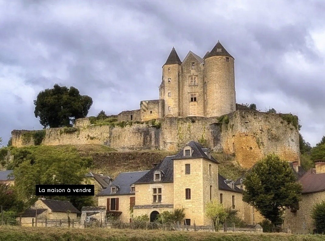 casa di pietra in vendita Salignac-Eyvigues
