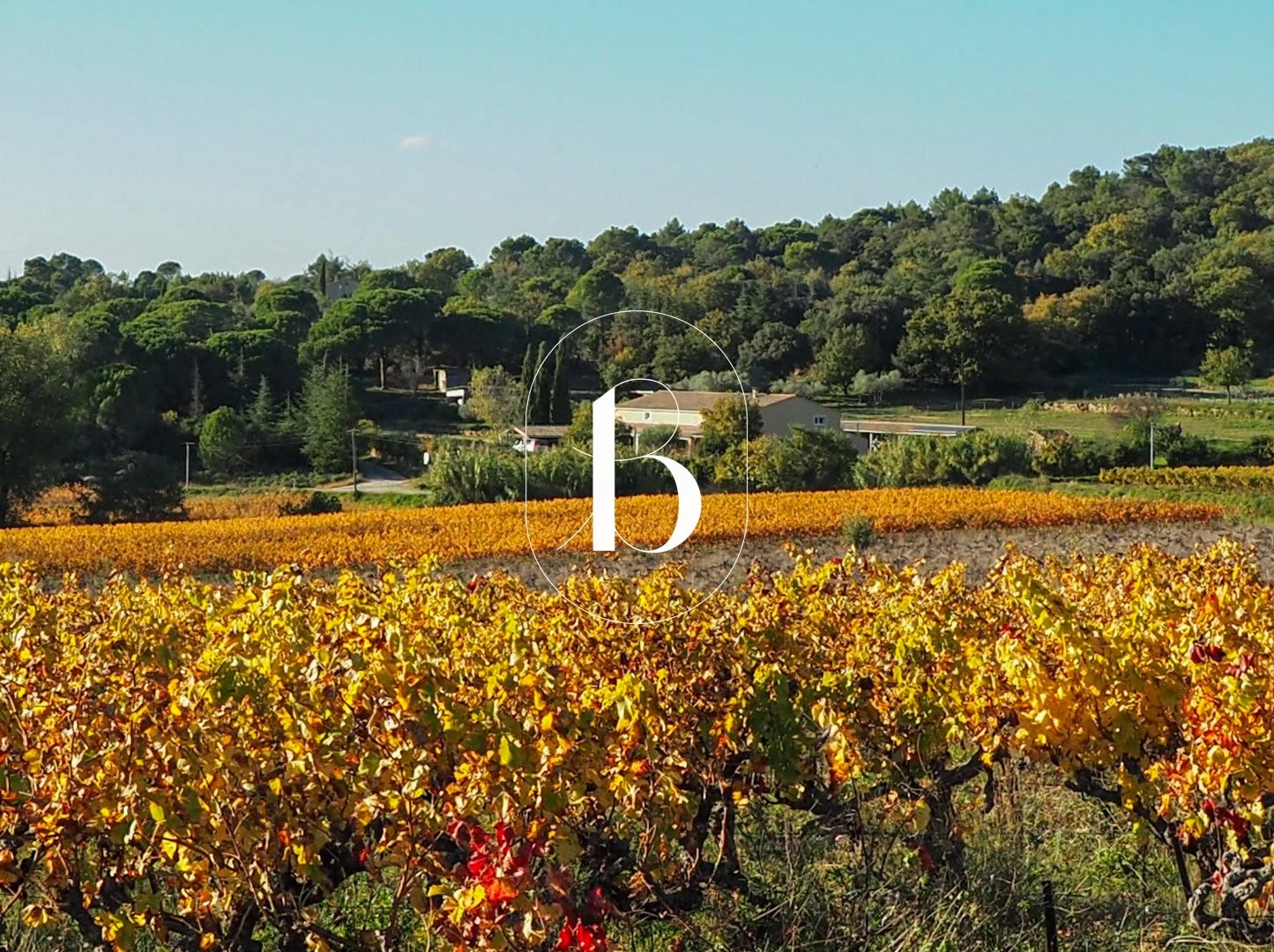 Luxe stadswoning te koop in Goudargues