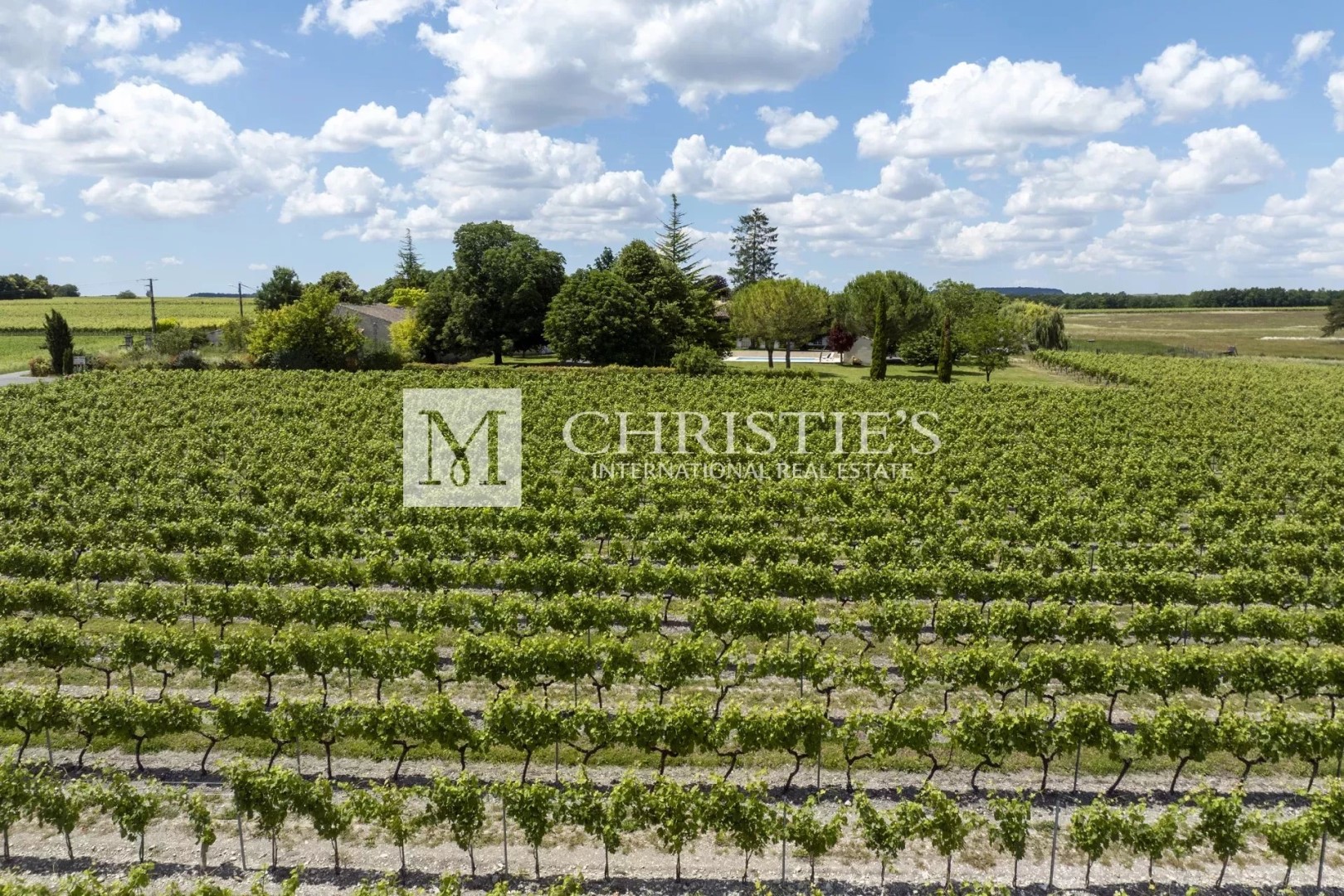 Wine Property for sale in Cognac