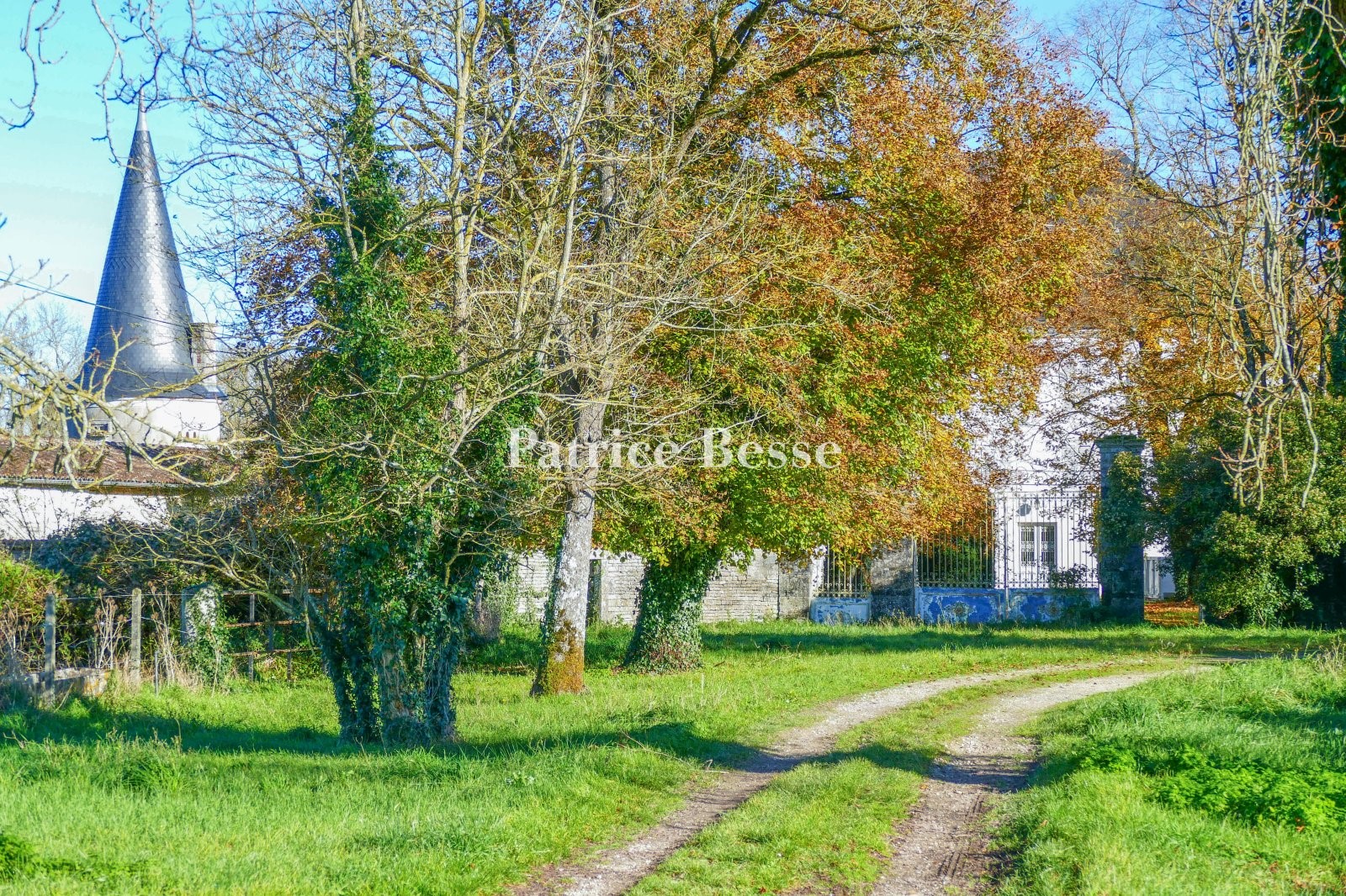 Luxury house for sale in Aigre