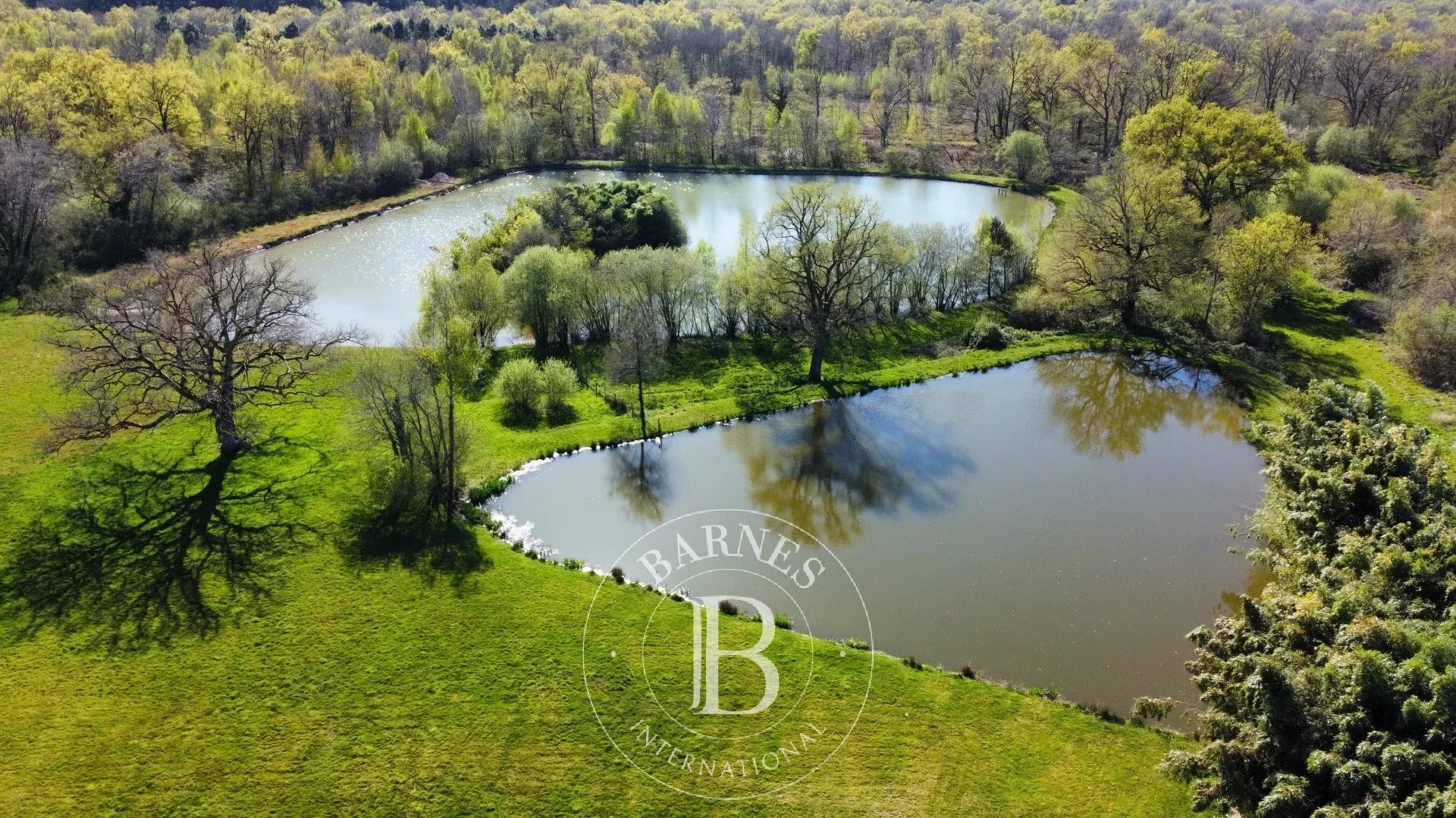 Dimora di lusso in vendita Neuvy-sur-Barangeon