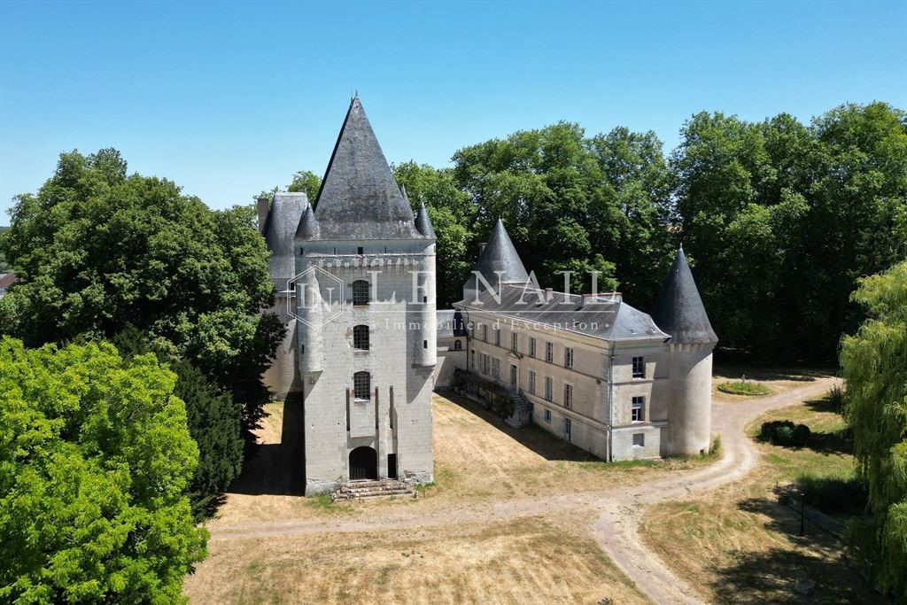 Castle for sale in Buzançais