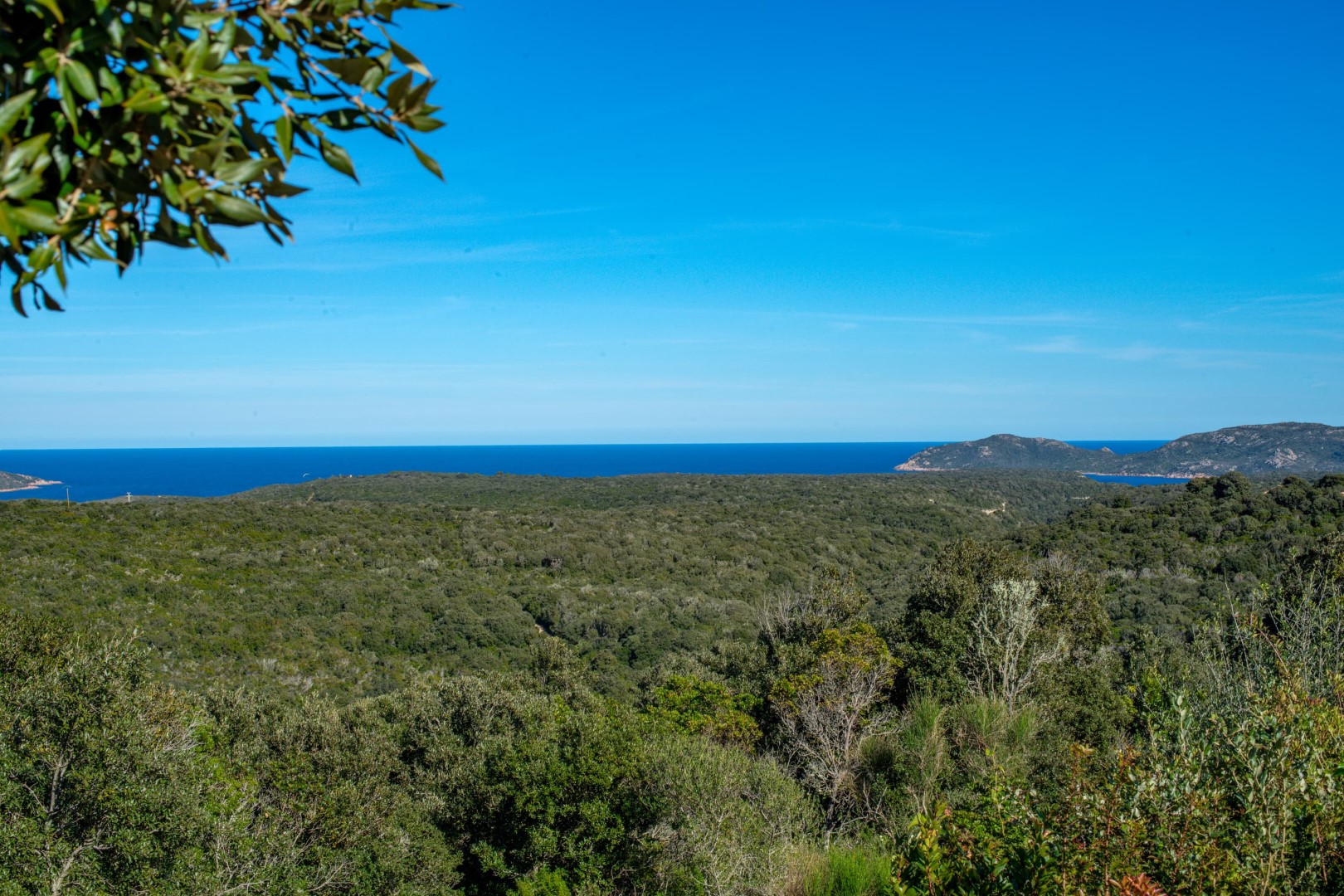 Villa di lusso in vendita Bonifacio
