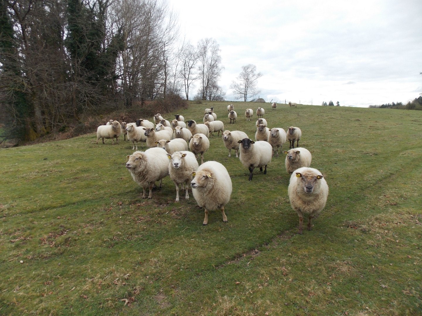 Corps de ferme à vendre à Marval