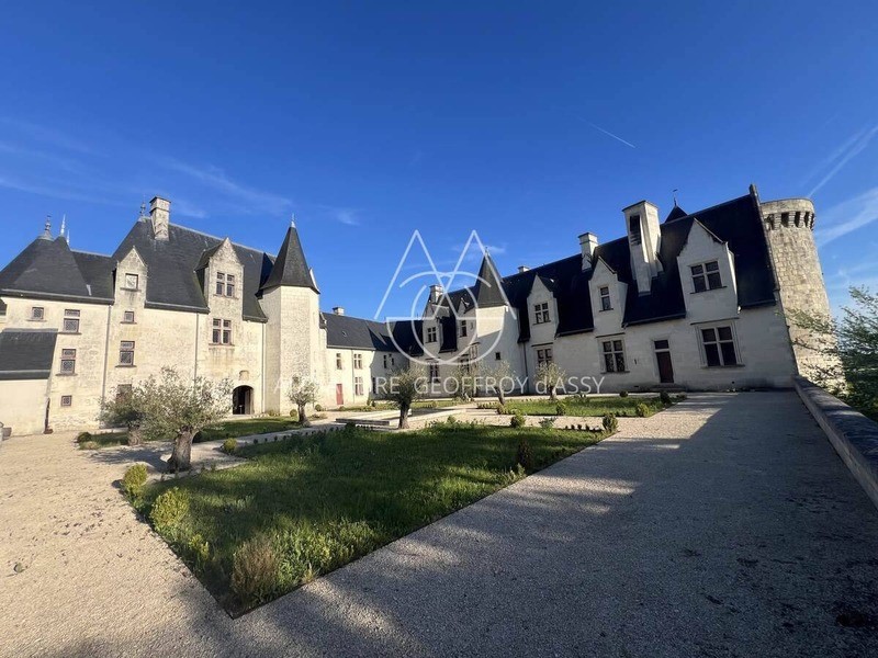 Castle for sale in Châtillon-sur-Indre