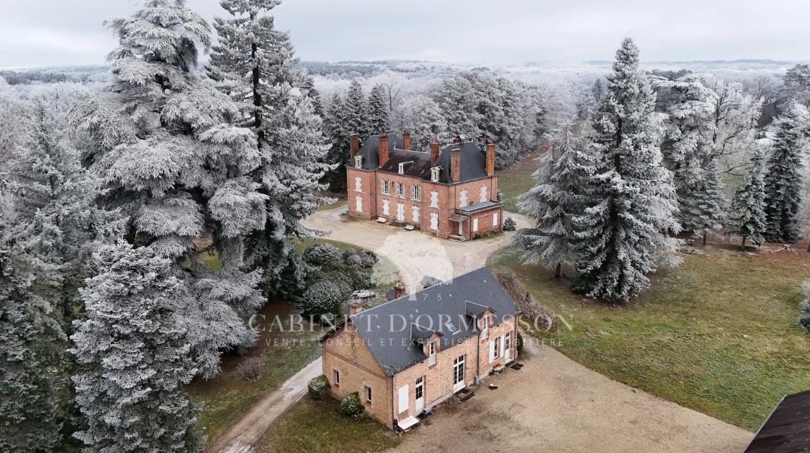 Castello in vendita Brinon-sur-Sauldre