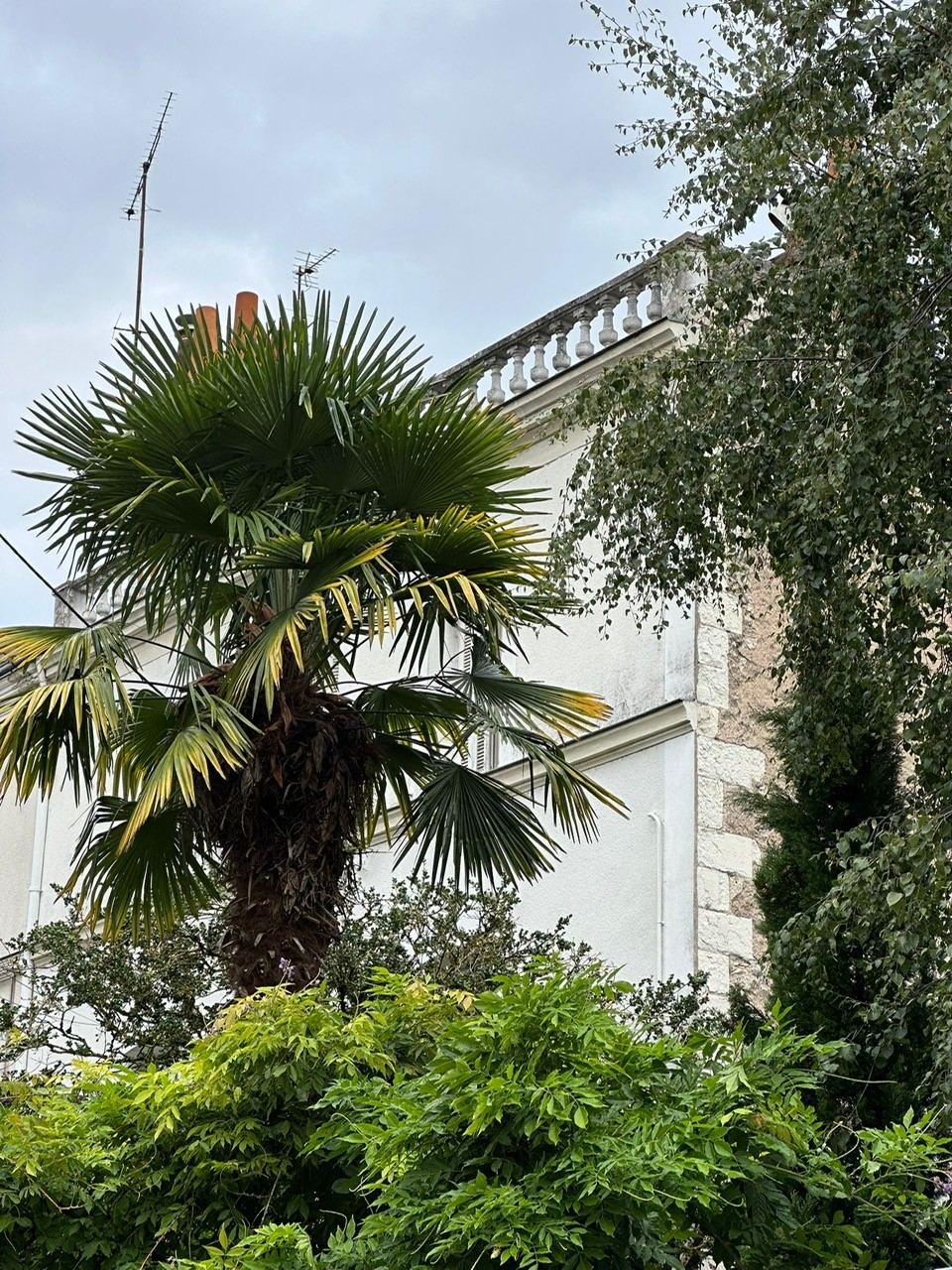 Maison 6 pièces 180 m²