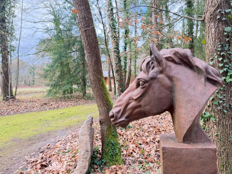 proprietà in vendita Linières-Bouton