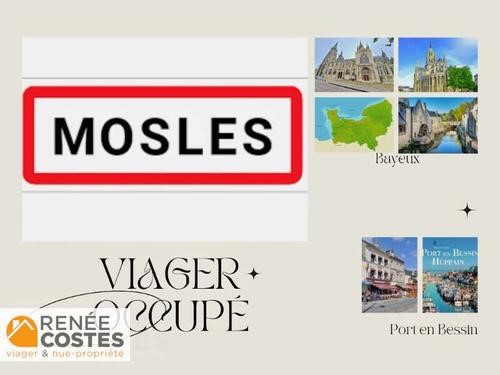 Viager maison 4 pièces Mosles - maison F4/T4/4 pièces 112 m² 19334 ...