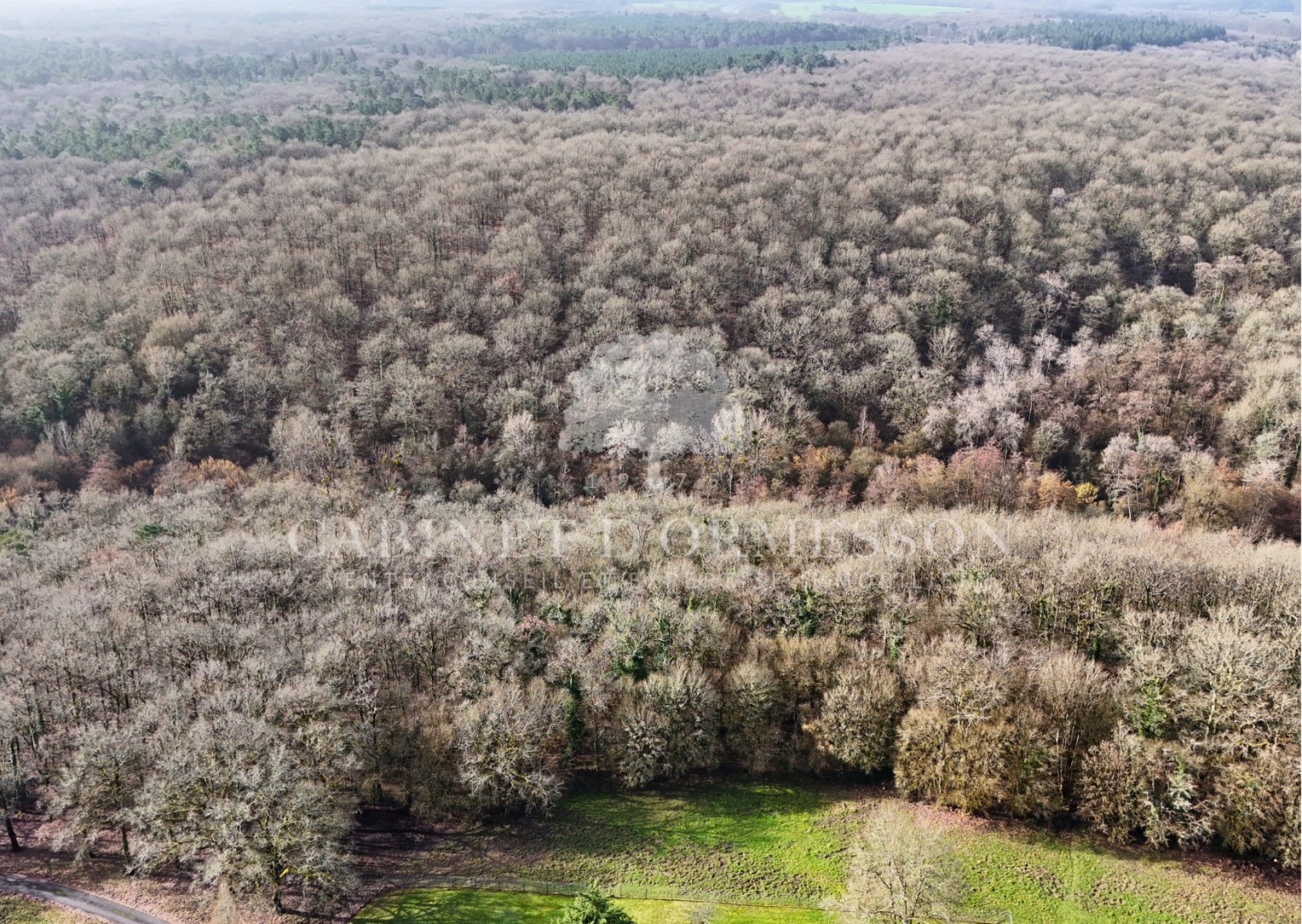proprietà in vendita Langeais
