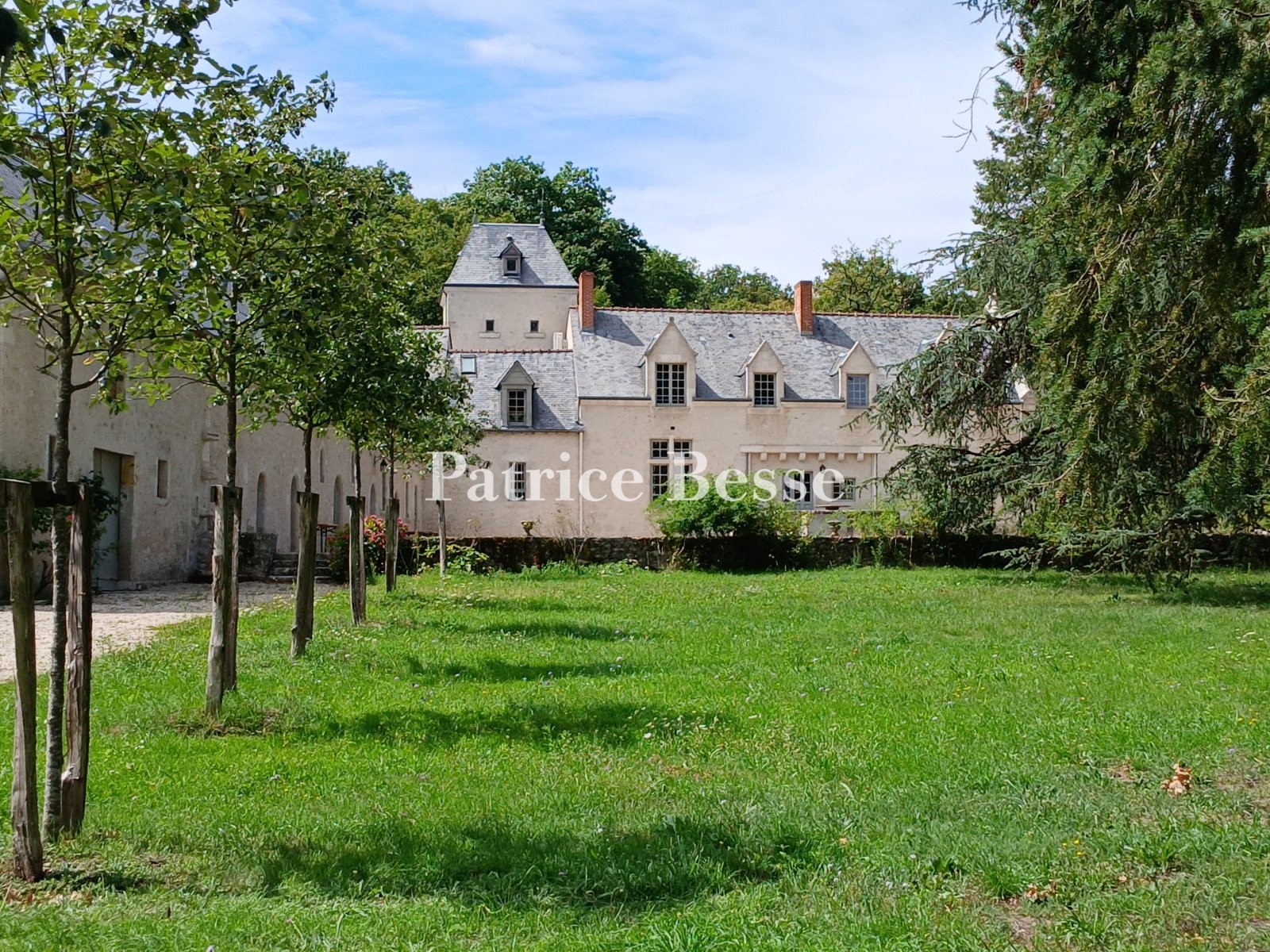 Castle for sale in Blois