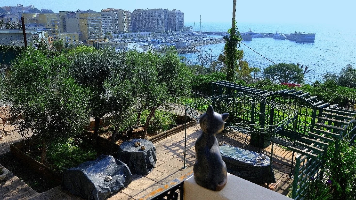 Luxury villa for sale in Cap-d'Ail