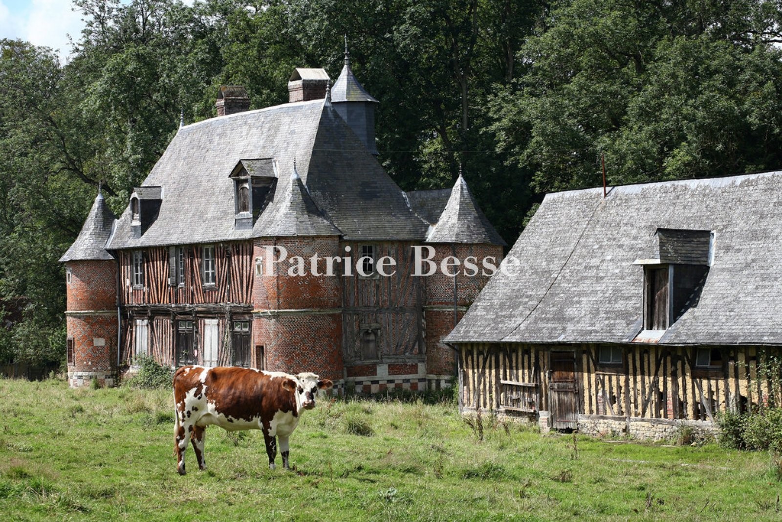 Manor house for sale in Pont-Audemer