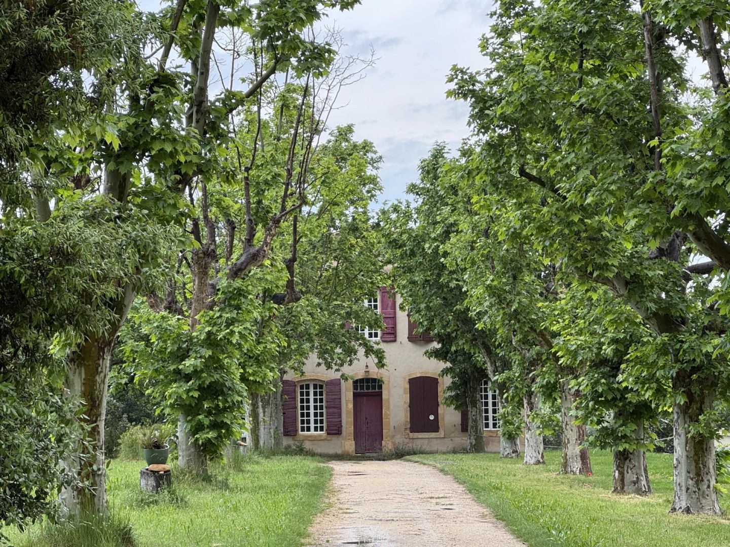 Bastide à vendre dans le quartier Comtale-Cente-Cours Mirabeau