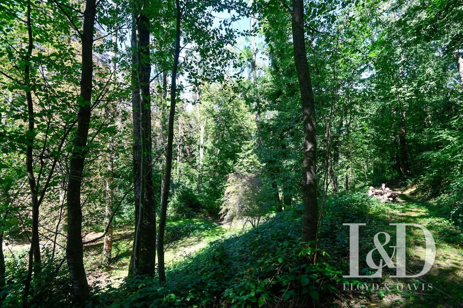 Maison contemporaine à vendre dans le quartier Est