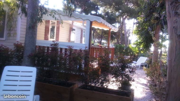 Au milieu des arbres.