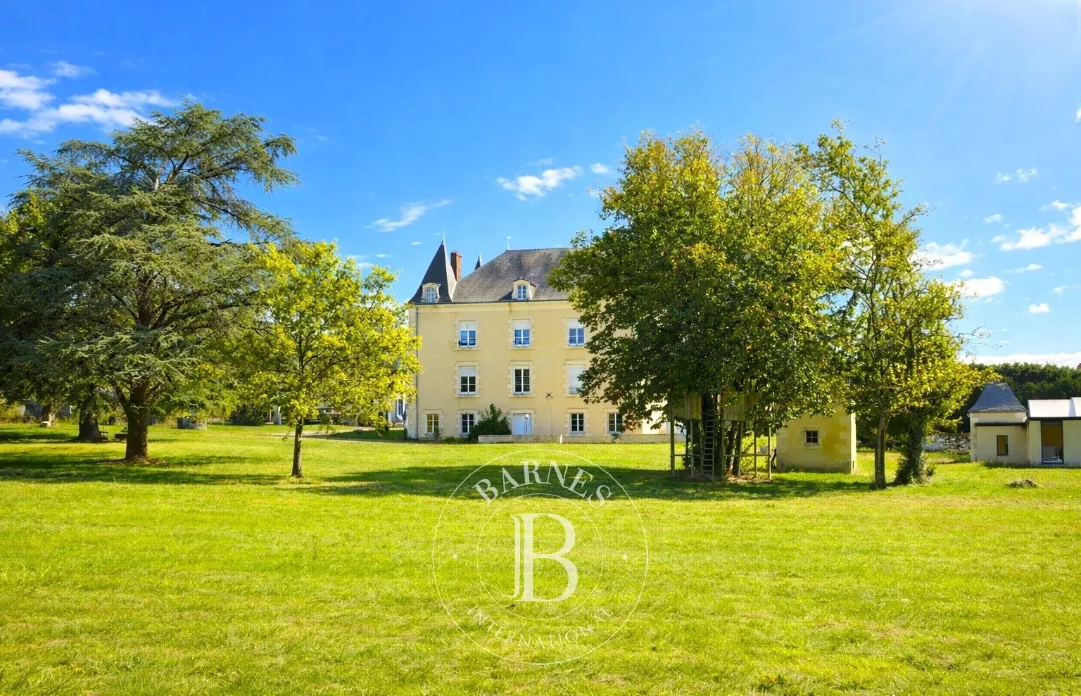 Maniero in vendita La Trimouille