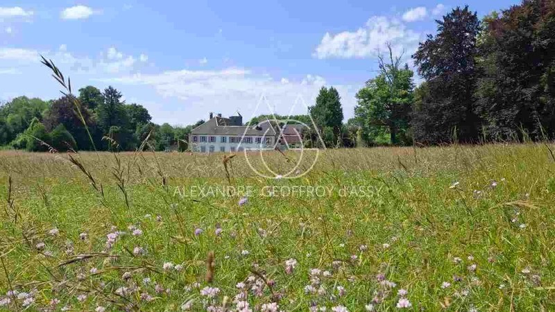 Schloss zu verkaufen Colombey-les-Deux-Églises