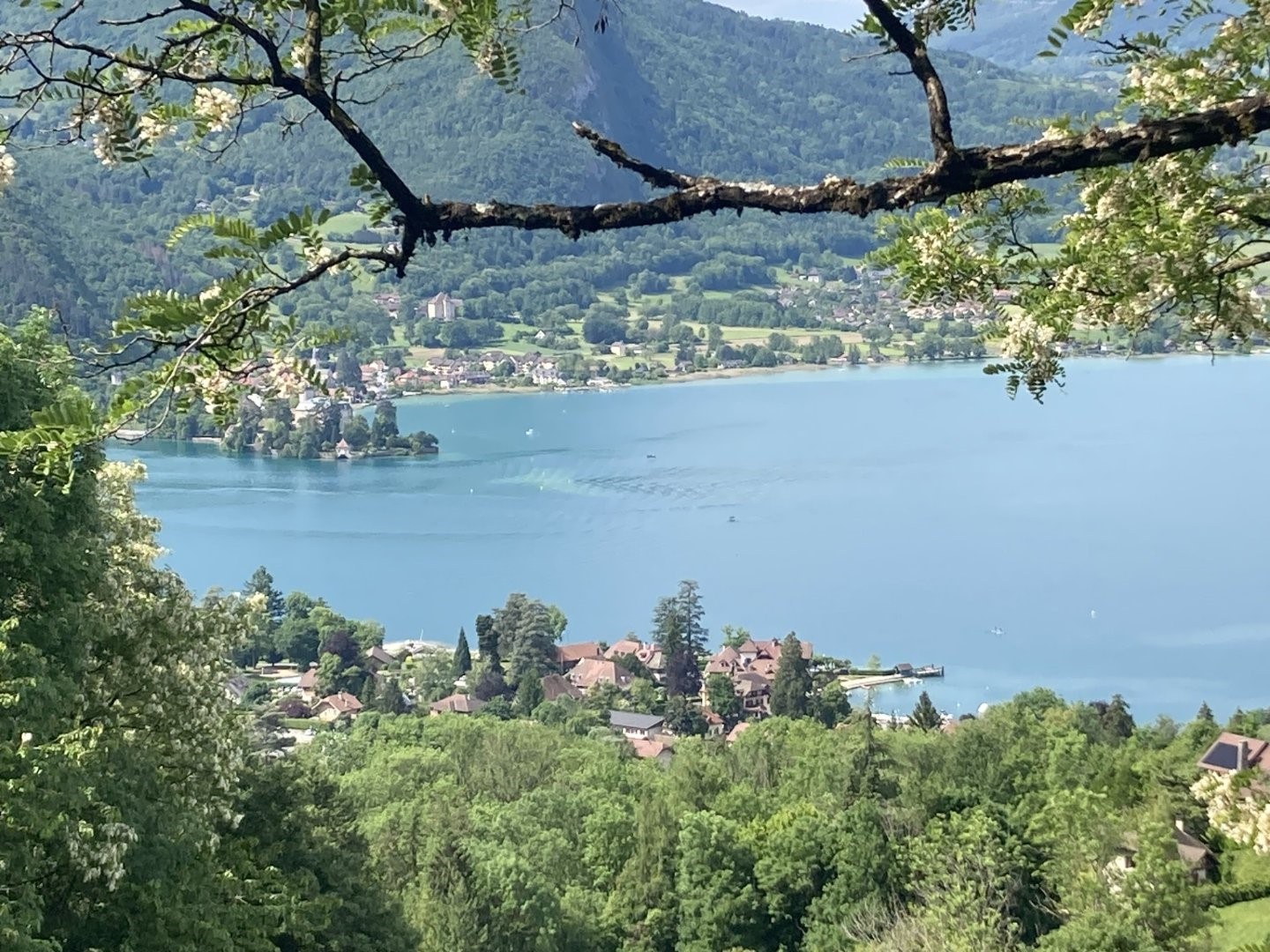 anwesen zu verkaufen Talloires