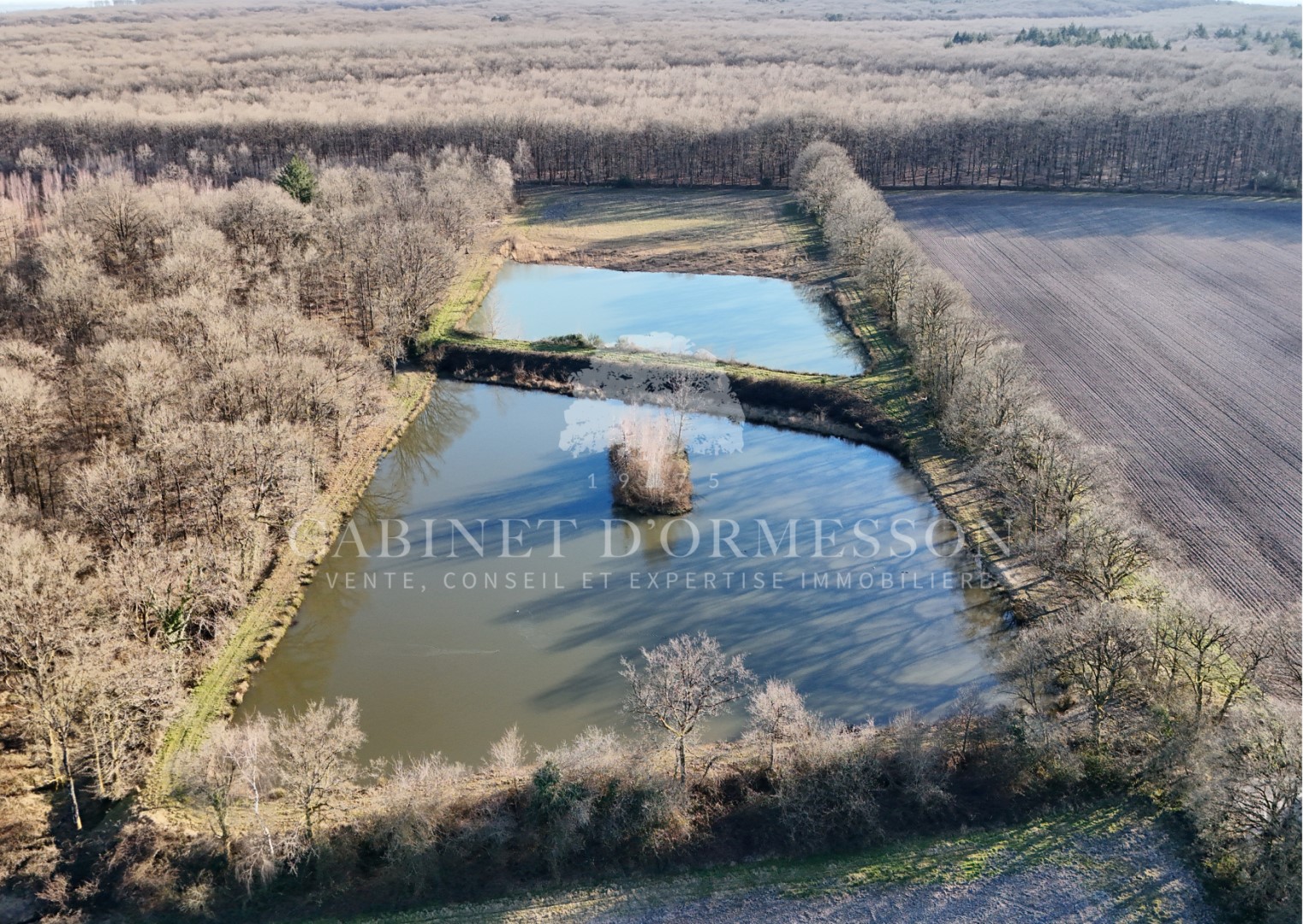 proprietà in vendita Neuvy-sur-Barangeon
