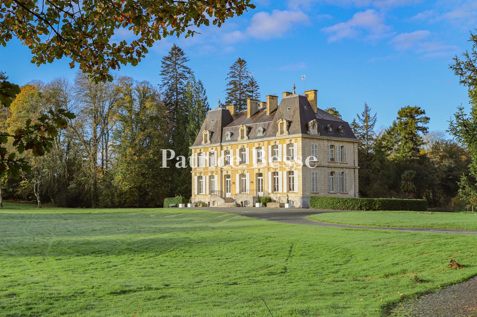 Castle for sale in Saint-Aubin-du-Perron