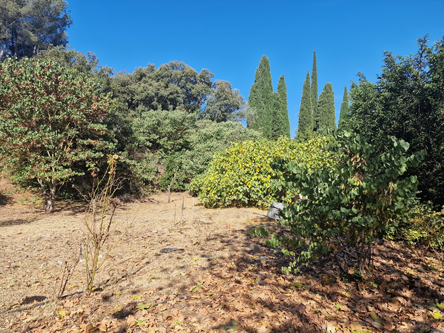 Luxury villa for sale in the district Beaudinard-Eoures