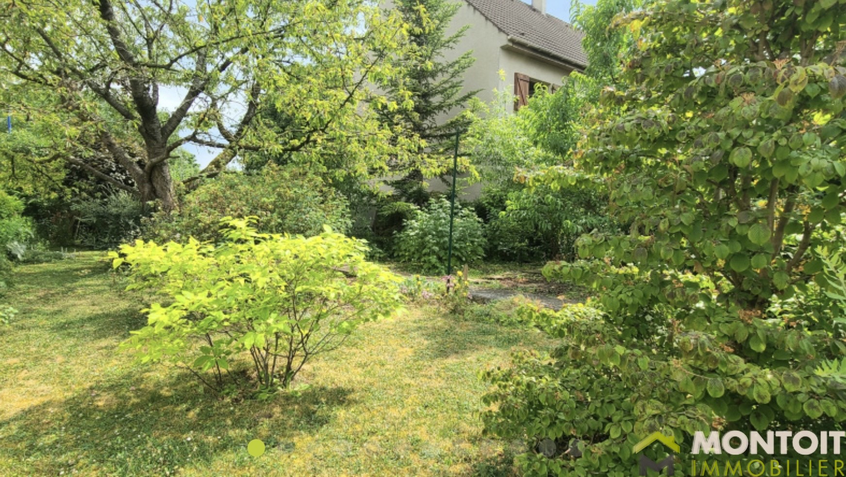 Terrain