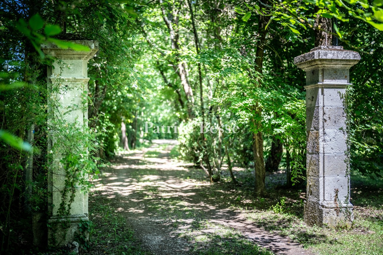 Castle for sale in Saint-Vite