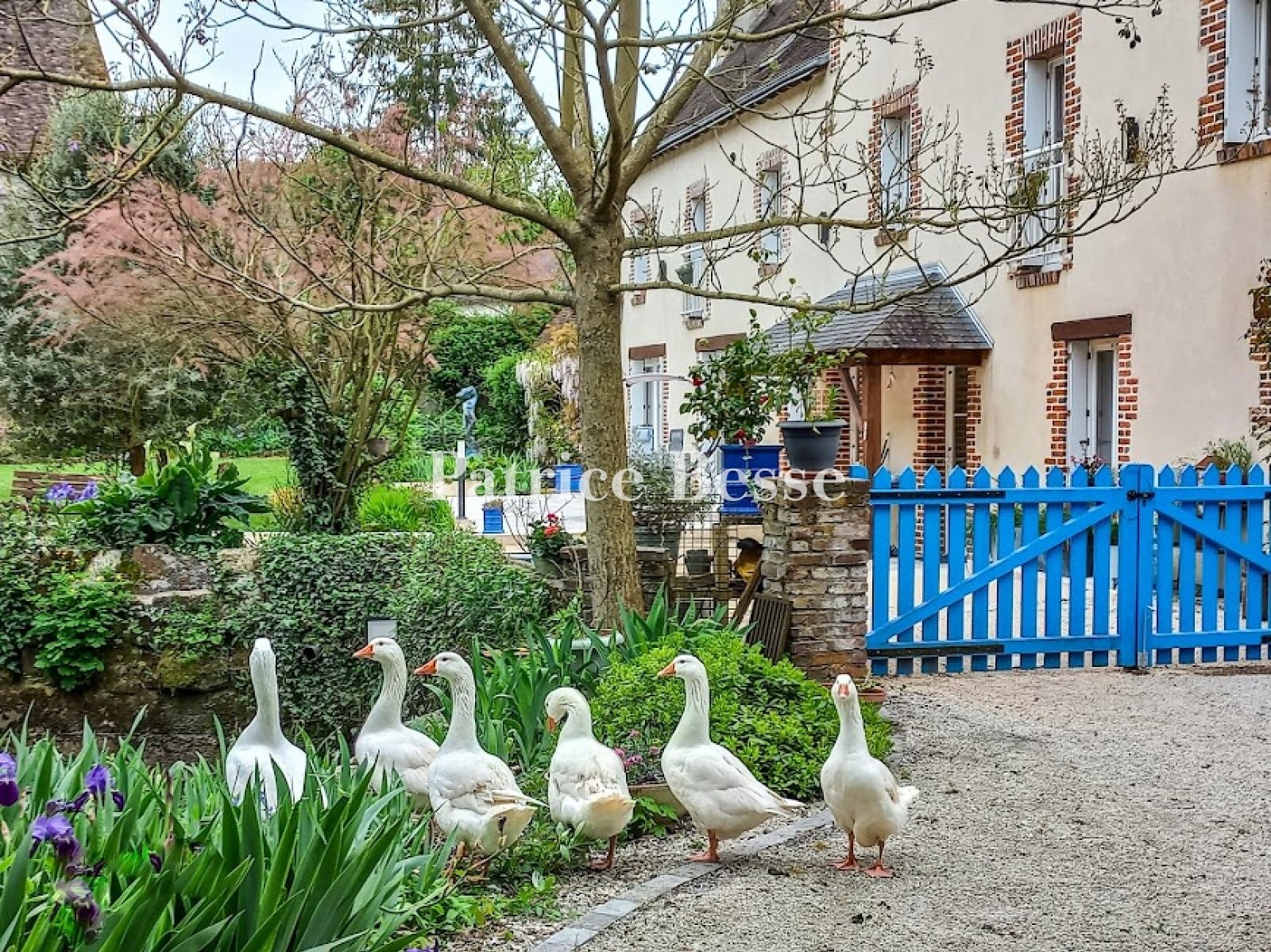 Luxury house for sale in Tours
