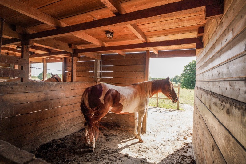 propriété à vendre à Vonnas