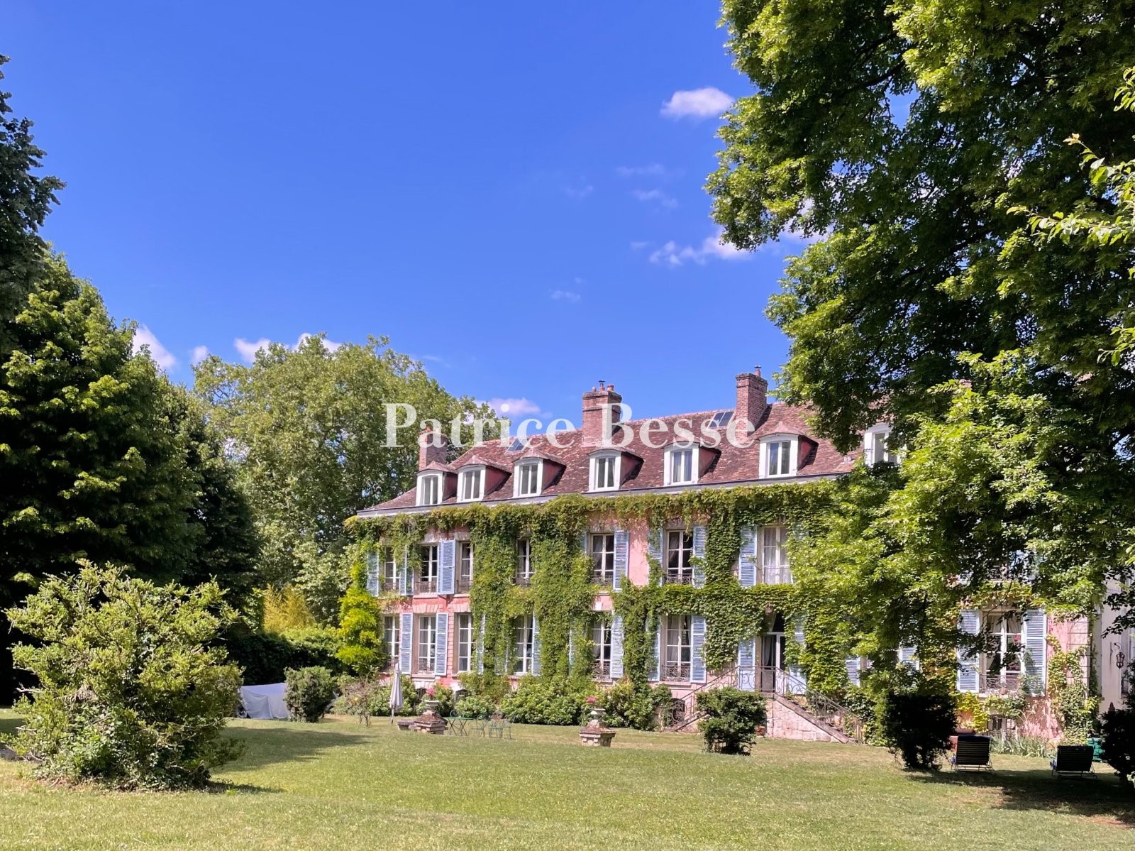 Château à vendre au Le Coudray-Montceaux
