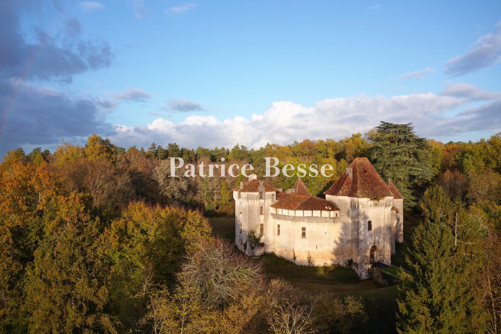 Castle for sale in Périgueux