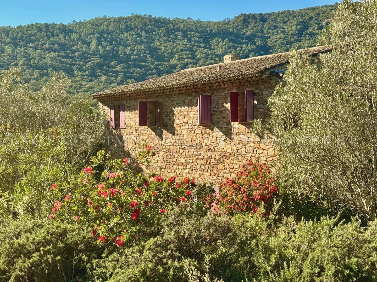 Mas à vendre à la La Môle