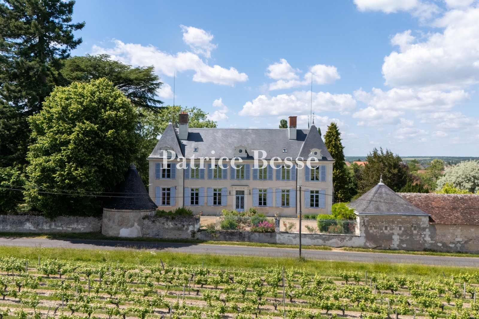 Castle for sale in Montrichard