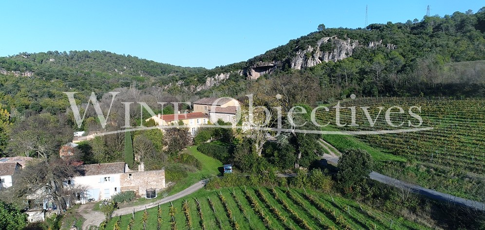 Wijndomein te koop in Clermont-l'Hérault