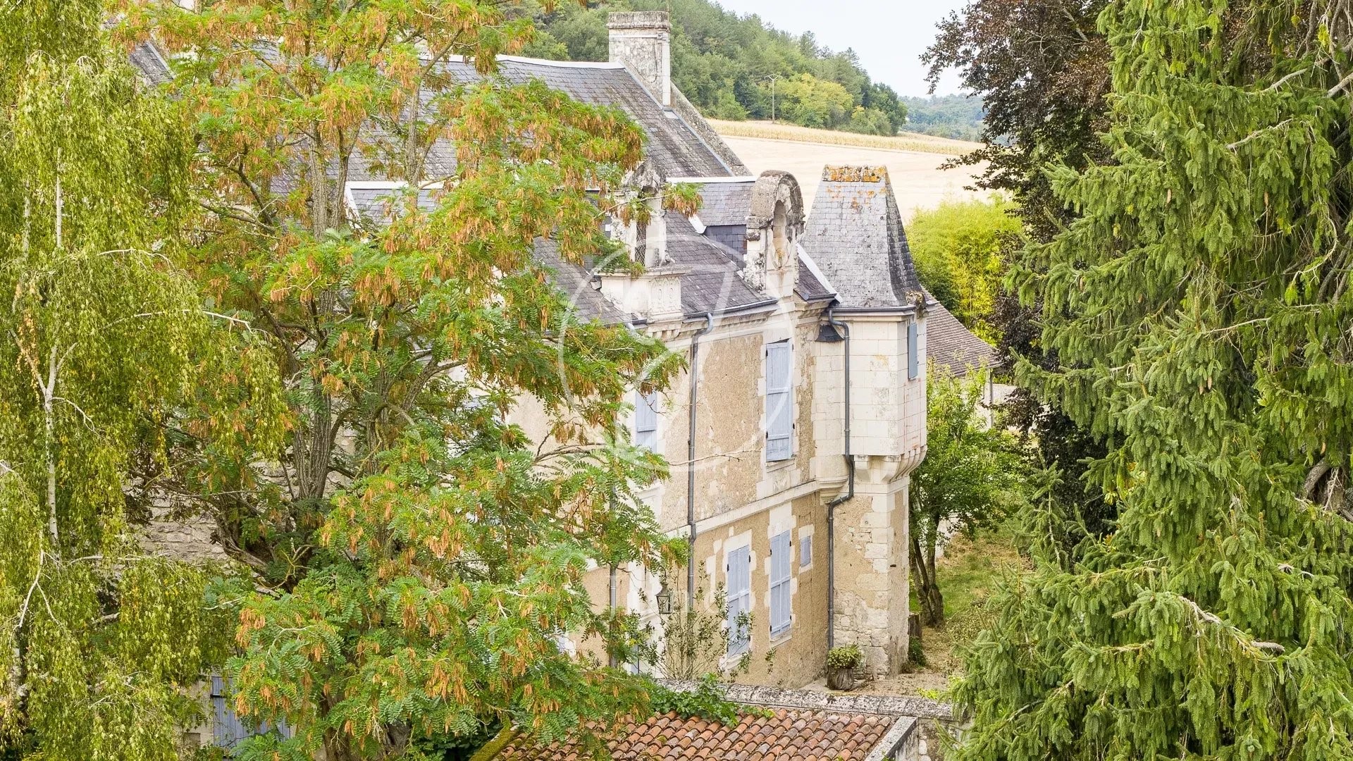 Manoir à vendre à Sainte-Maure-de-Touraine